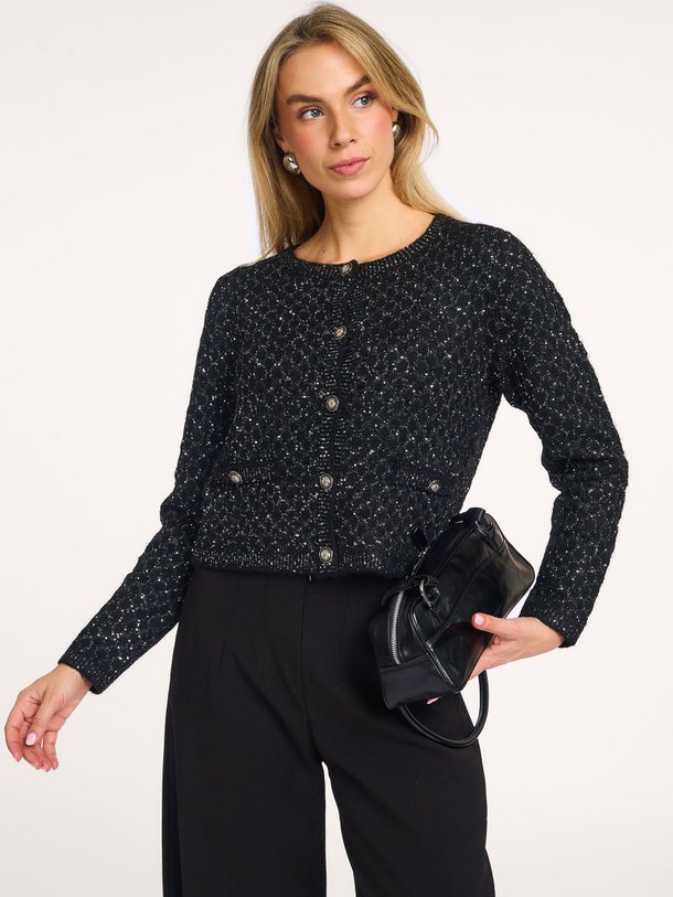 Ontdek de Carnet gebreid vest met pailletten van Sofie Schnoor in de kleur zwart bij Orangebag. Op werkdagen voor 21:45 besteld, morgen in huis.