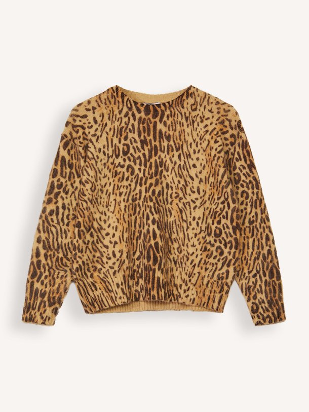 Ontdek de Pleoli mohairmix trui met print van Suncoo in de kleur beige bij Orangebag. Op werkdagen voor 21:45 besteld, morgen in huis.