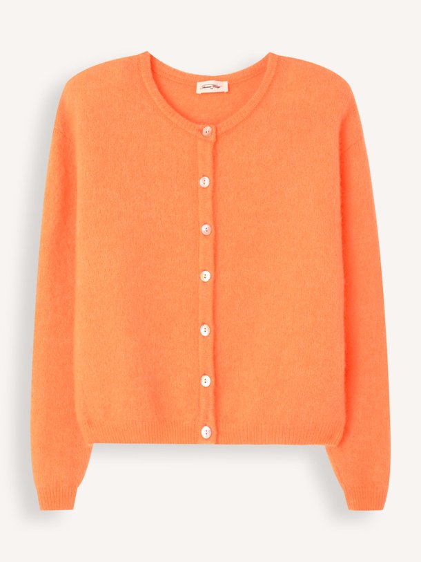 Ontdek de Vitow alpacamix vest van American Vintage in de kleur oranje bij Orangebag. Op werkdagen voor 21:45 besteld, morgen in huis.