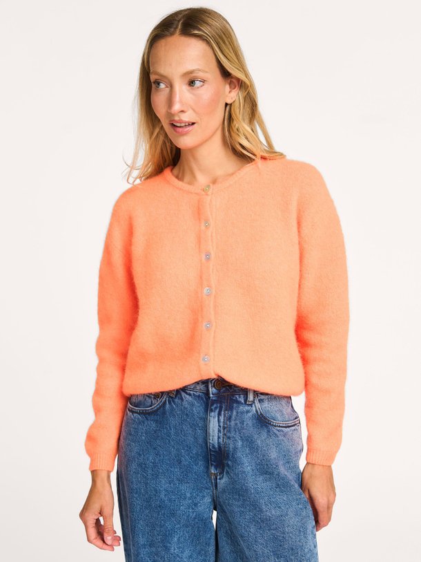 Ontdek de Vitow alpacamix vest van American Vintage in de kleur oranje bij Orangebag. Op werkdagen voor 21:45 besteld, morgen in huis.