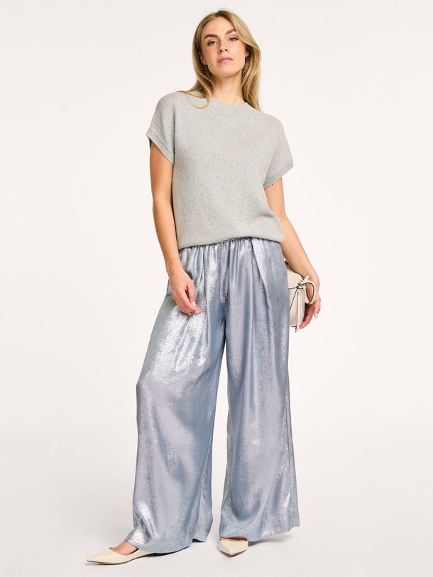 Ontdek de Freddy geweven metallic wide leg broek van Nathalie Vleeschouwer in de kleur zilverkleur bij Orangebag. Op werkdagen voor 21:45 besteld, morgen in huis.