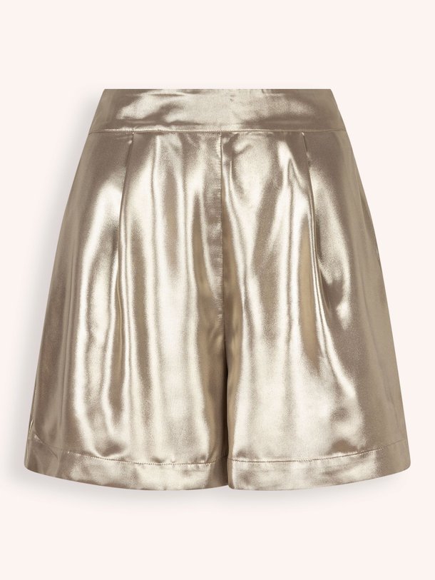 Ontdek de Levine geweven metallic short van Dante 6 in de kleur goudkleur bij Orangebag. Op werkdagen voor 21:45 besteld, morgen in huis.