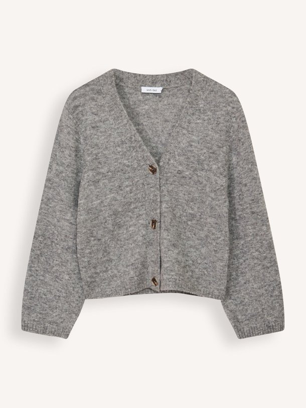 Ontdek de Ariel merino wolmix vest van Knit-ted in de kleur grijs bij Orangebag. Op werkdagen voor 21:45 besteld, morgen in huis.