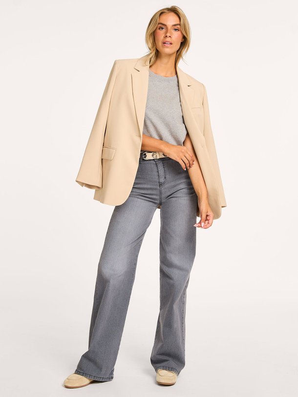 Ontdek de Silvia Den high waist straight fit jeans van Lois in de kleur grijs bij Orangebag. Op werkdagen voor 21:45 besteld, morgen in huis.