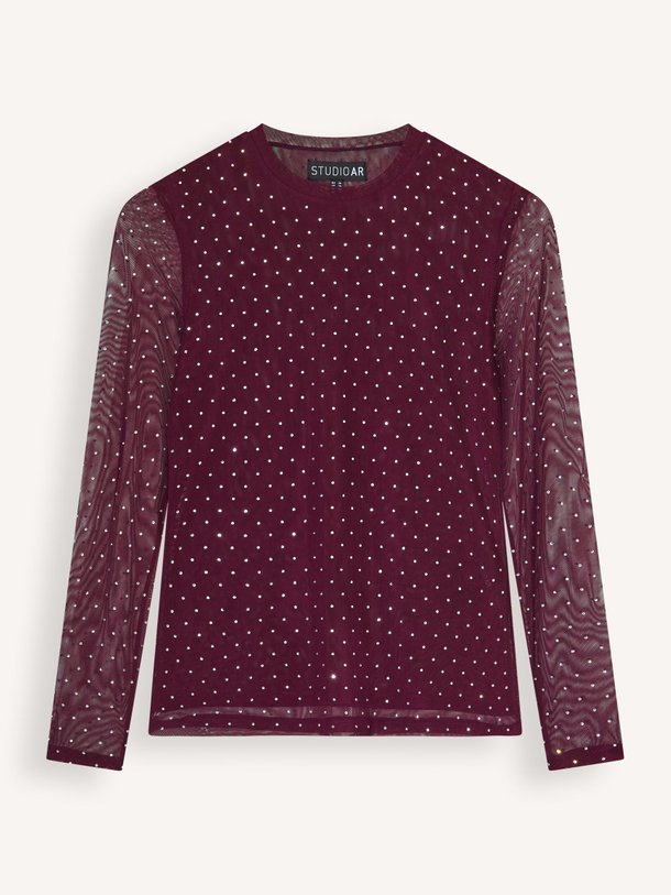 Ontdek de Ines mesh top met strass van Studio AR in de kleur bordeauxrood bij Orangebag. Op werkdagen voor 21:45 besteld, morgen in huis.