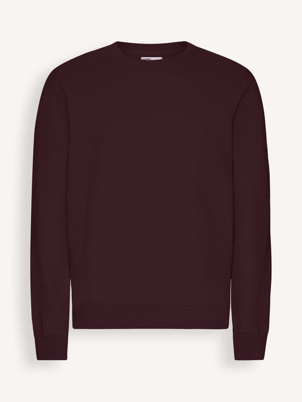 Colorful Standard Organic Cotton Sweater - Bordeauxrood Ontdek de Organic cotton sweater van Colorful Standard in de kleur bordeauxrood bij Orangebag. Op werkdagen voor 21:45 besteld, morgen in huis.