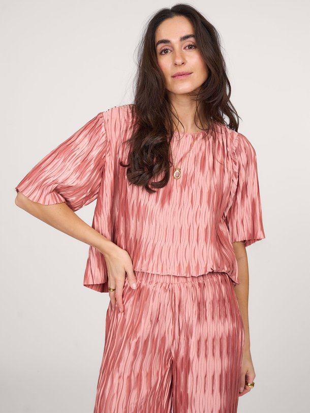 Ontdek de Lelia geweven plissé top van Dante 6 in de kleur oud roze bij Orangebag. Op werkdagen voor 21:45 besteld, morgen in huis.