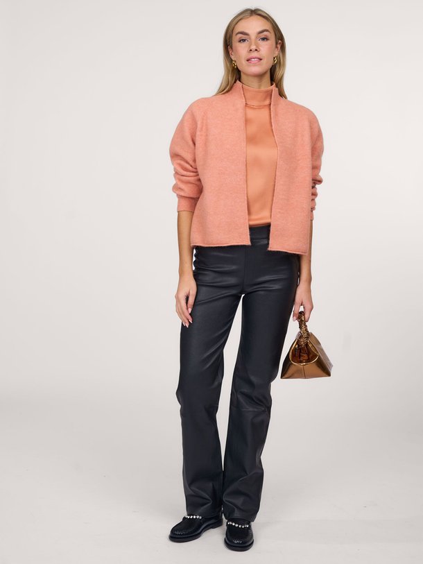 Ontdek de Tate lederen stretch broek van Dante 6 in de kleur zwart bij Orangebag. Op werkdagen voor 21:45 besteld, morgen in huis.