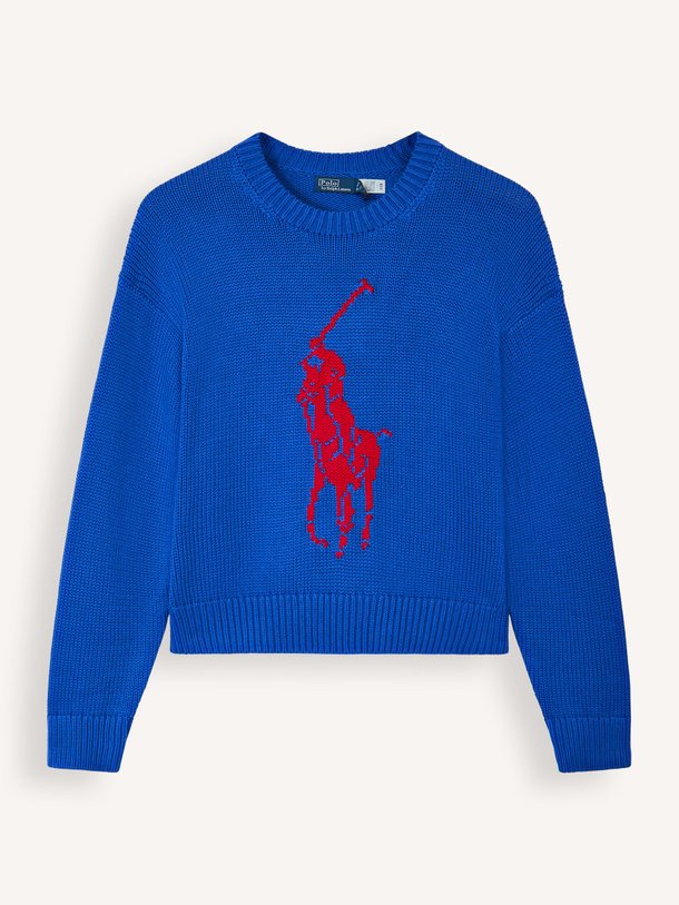 Ontdek de Katoenen trui van Ralph Lauren in de kleur Blauw bij Orangebag. Op werkdagen voor 21:45 besteld, morgen in huis.