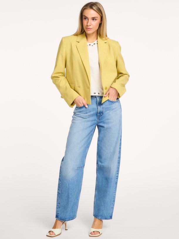 Dante 6 Reyes viscosemix cropped blazer - Groen Ontdek de Reyes viscosemix cropped blazer van Dante 6 in de kleur Groen bij Orangebag. Op werkdagen voor 21:45 besteld, morgen in huis.