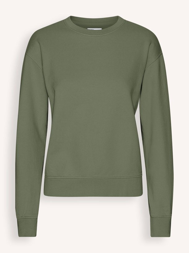 Ontdek de Organic cotton sweater van Colorful Standard in de kleur olijfgroen bij Orangebag. Op werkdagen voor 21:45 besteld, morgen in huis.