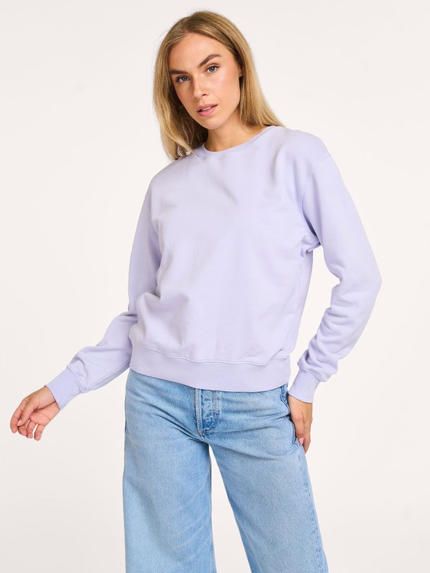 Ontdek de Organic cotton sweater van Colorful Standard in de kleur lavendel bij Orangebag. Op werkdagen voor 21:45 besteld, morgen in huis.