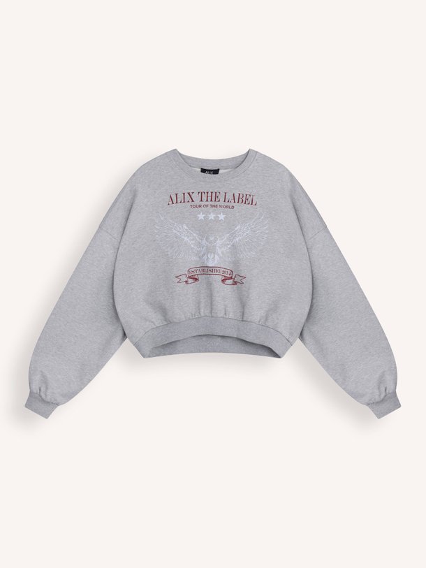 Ontdek de Katoenen cropped sweater van Alix The Label in de kleur Grijs bij Orangebag. Op werkdagen voor 21:45 besteld, morgen in huis.