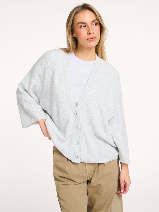 Ontdek de Damsville wolmix gemêleerd vest van American Vintage in de kleur Lichtgrijs bij Orangebag. Op werkdagen voor 21:45 besteld, morgen in huis.