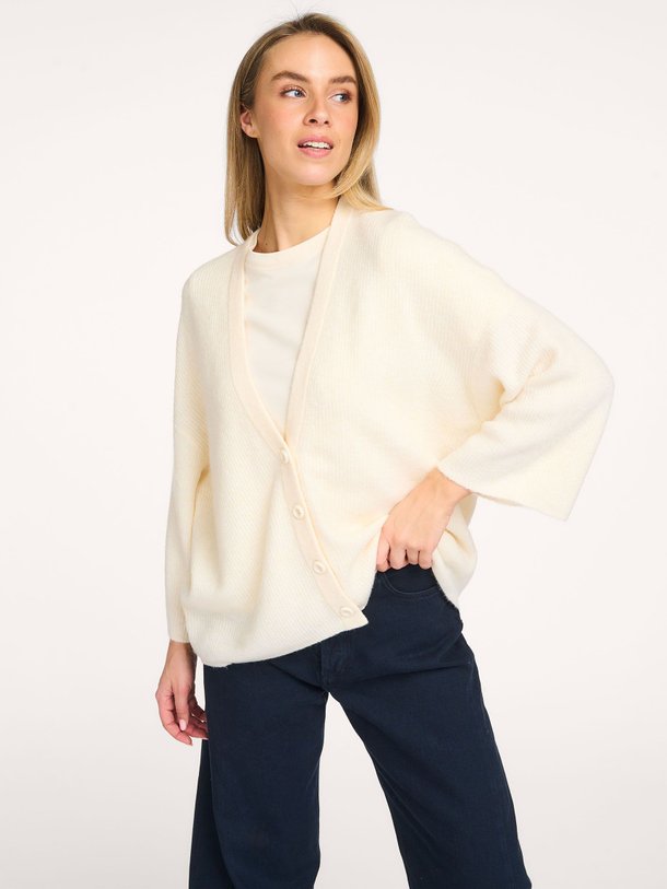 Ontdek de Damsville wolmix vest van American Vintage in de kleur Crème bij Orangebag. Op werkdagen voor 21:45 besteld, morgen in huis.