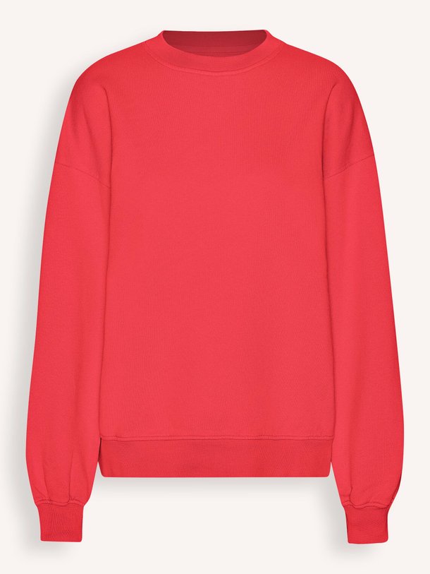 Ontdek de Unisex organic cotton oversized sweater van Colorful Standard in de kleur rood bij Orangebag. Op werkdagen voor 21:45 besteld, morgen in huis.