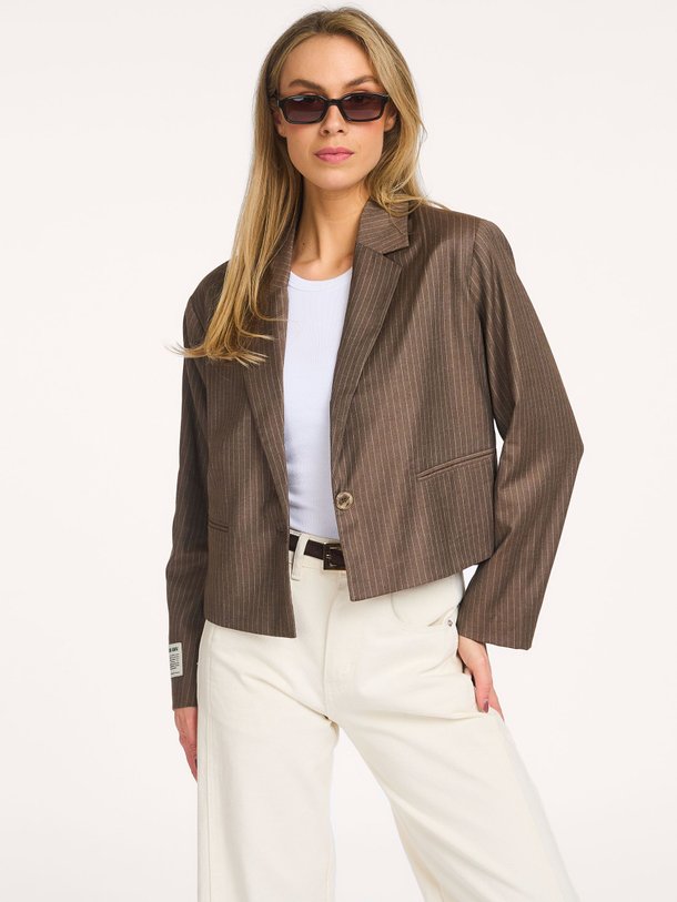 Ontdek de Yroway viscosemix gestreepte blazer van American Vintage in de kleur Bruin bij Orangebag. Op werkdagen voor 21:45 besteld, morgen in huis.