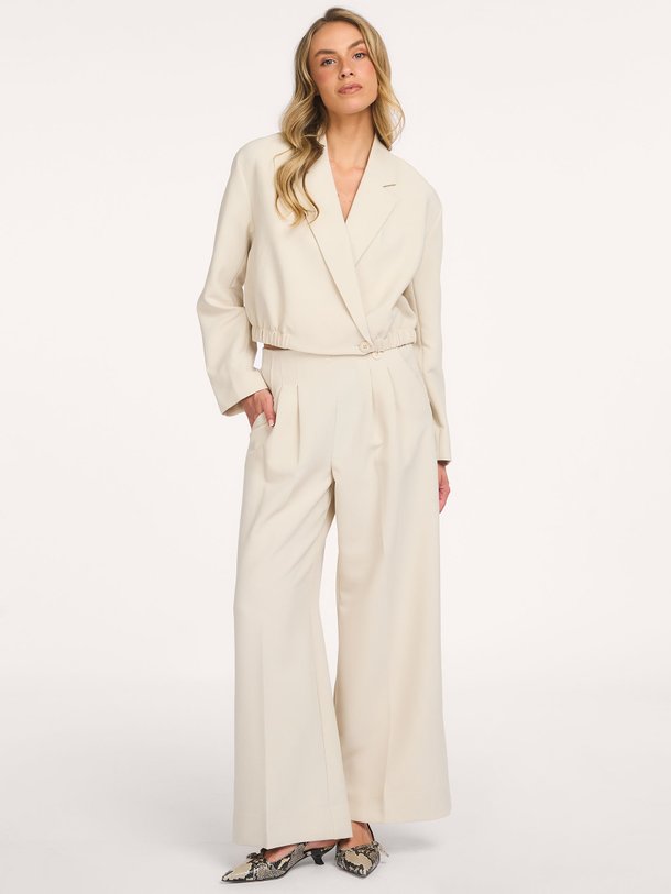 Ontdek de AcileCC Pleat Pant van Co'Couture bij Orangebag. Op werkdagen voor 21:45 besteld, morgen in huis.