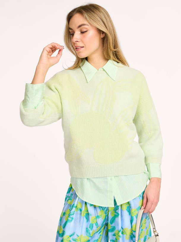 Ontdek de Avoine alpacamix top met dessin van Nathalie Vleeschouwer in de kleur groen bij Orangebag. Op werkdagen voor 21:45 besteld, morgen in huis.