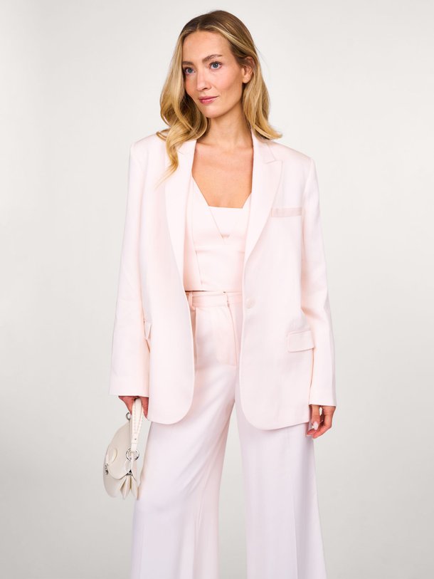 Ontdek de Sylvie viscose blazer van Iro in de kleur poeder bij Orangebag. Op werkdagen voor 21:45 besteld, morgen in huis.