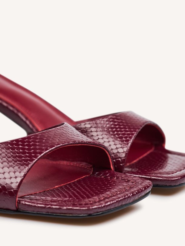 Ontdek de Rubby lederen sandalen van Toral in de kleur Bordeauxrood bij Orangebag. Op werkdagen voor 21:45 besteld, morgen in huis.