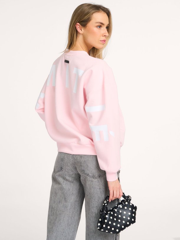 Ontdek de Katoenmix sweater van Haute L'Amitié in de kleur Lichtroze bij Orangebag. Op werkdagen voor 21:45 besteld, morgen in huis.