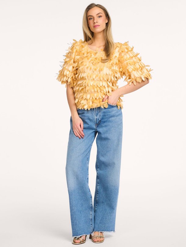 Ontdek de Angelina geweven top met applicaties van Aaiko in de kleur Abrikoos bij Orangebag. Op werkdagen voor 21:45 besteld, morgen in huis.