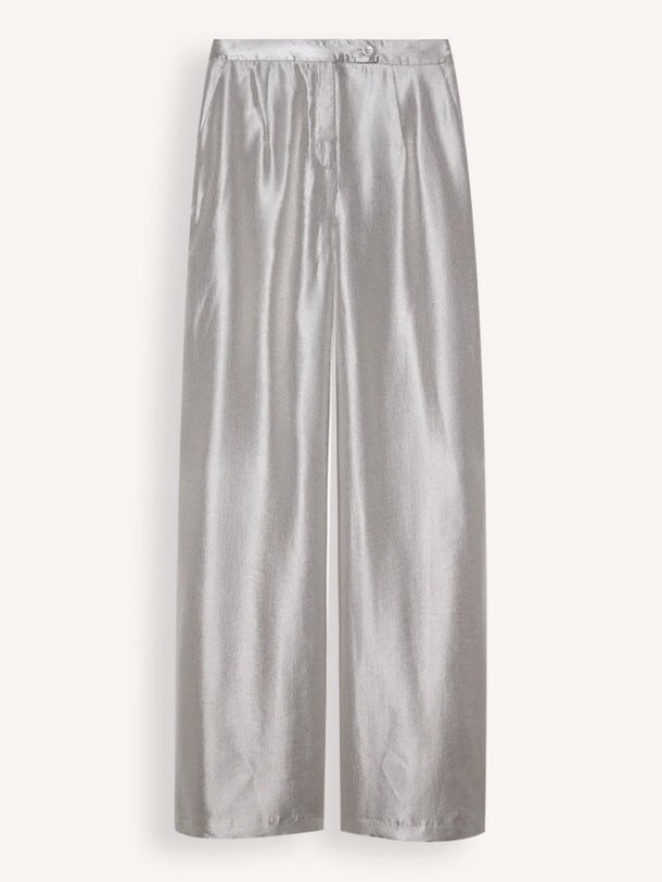 Studio Ar Esma - Viscosemix Glanzende Pantalon - Zilverkleur Ontdek de Esma viscosemix glanzende pantalon van Studio AR in de kleur zilverkleur bij Orangebag. Op werkdagen voor 21:45 besteld, morgen in huis.