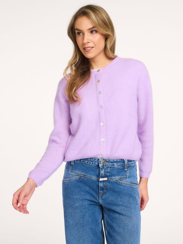 Ontdek de Vitow alpacamix vest van American Vintage in de kleur Lavendel bij Orangebag. Op werkdagen voor 21:45 besteld, morgen in huis.