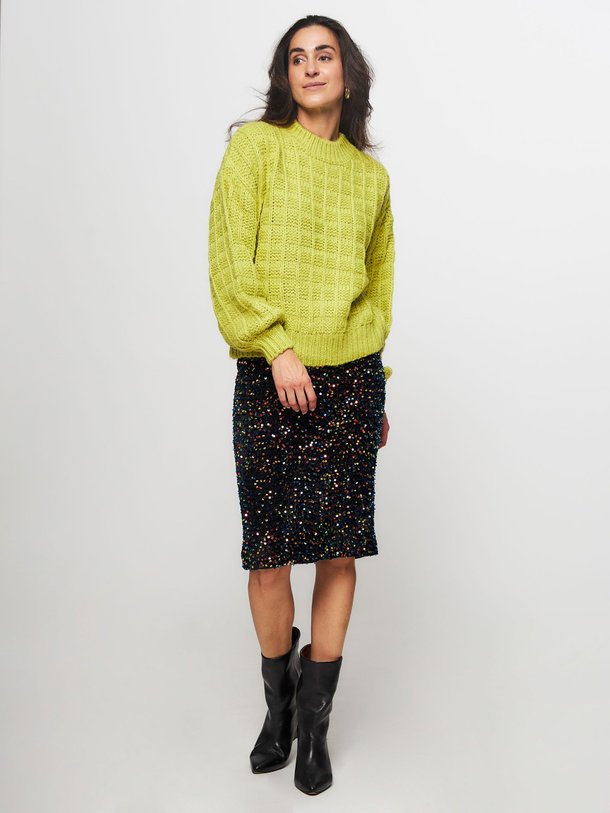 Ontdek de Anica geweven verlourse pailletten rok van Frnch in de kleur zwart bij Orangebag. Op werkdagen voor 21:45 besteld, morgen in huis.