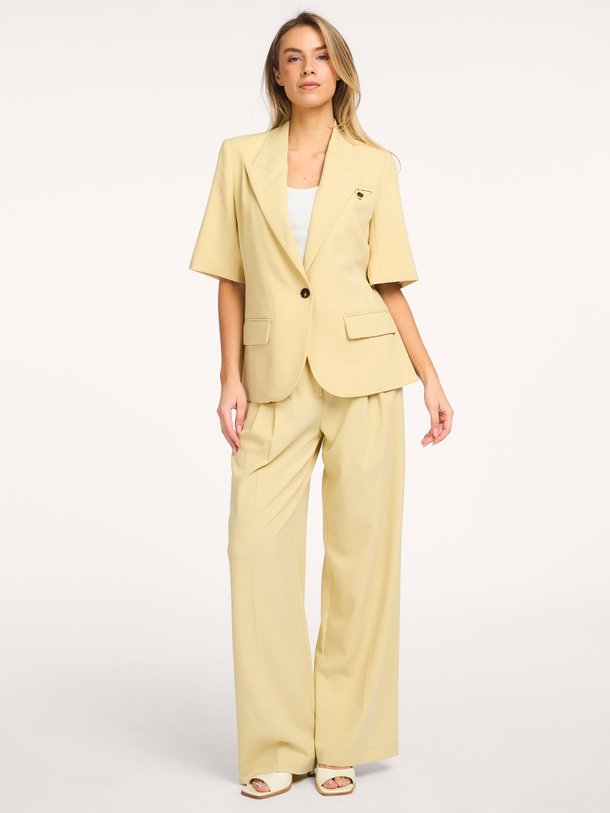 Ontdek de Nilan katoenmix blazer van Co'Couture in de kleur Geel bij Orangebag. Op werkdagen voor 21:45 besteld, morgen in huis.