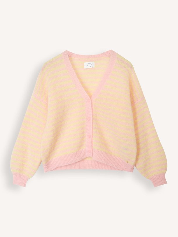 Ontdek de Alvaro wolmix gestreept vest van Des Petits Hauts in de kleur Lichtroze bij Orangebag. Op werkdagen voor 21:45 besteld, morgen in huis.