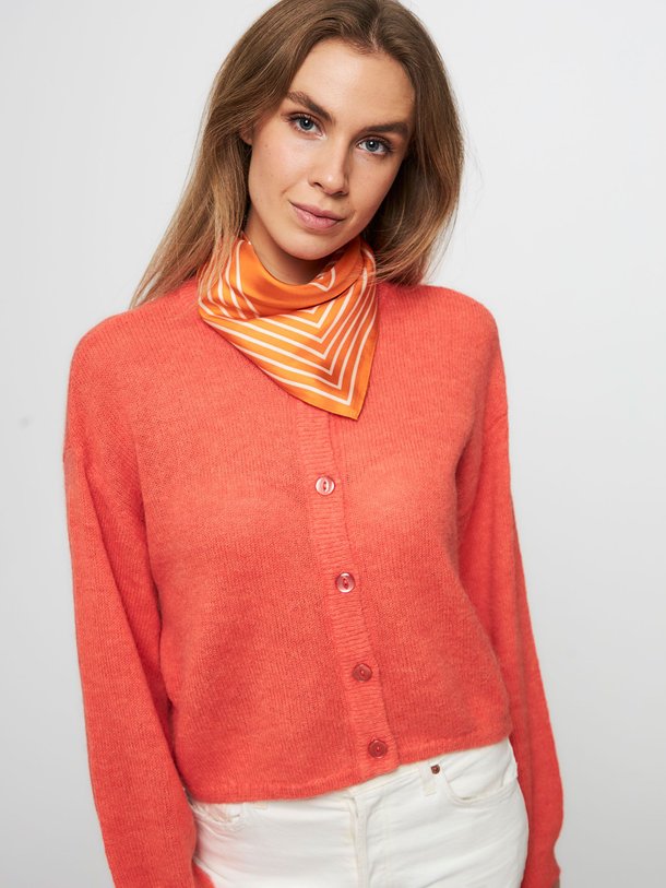 Ontdek de Lando alpacamix vest van Dante 6 in de kleur koraal bij Orangebag. Op werkdagen voor 21:45 besteld, morgen in huis.