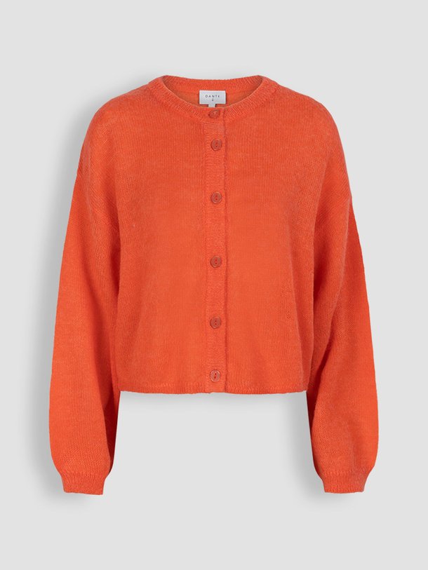 Ontdek de Lando alpacamix vest van Dante 6 in de kleur koraal bij Orangebag. Op werkdagen voor 21:45 besteld, morgen in huis.
