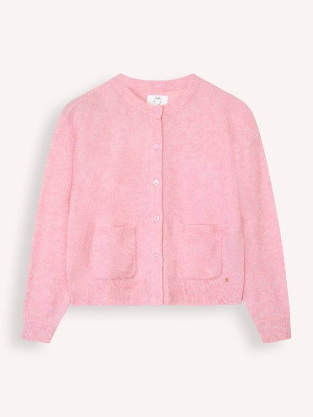 Ontdek de Mohairmix gemêleerd vest van Des Petits Hauts in de kleur Roze bij Orangebag. Op werkdagen voor 21:45 besteld, morgen in huis.