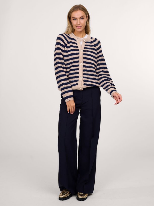 Ontdek de Neva viscosemix pantalon van Dante 6 in de kleur donkerblauw bij Orangebag. Op werkdagen voor 21:45 besteld, morgen in huis.