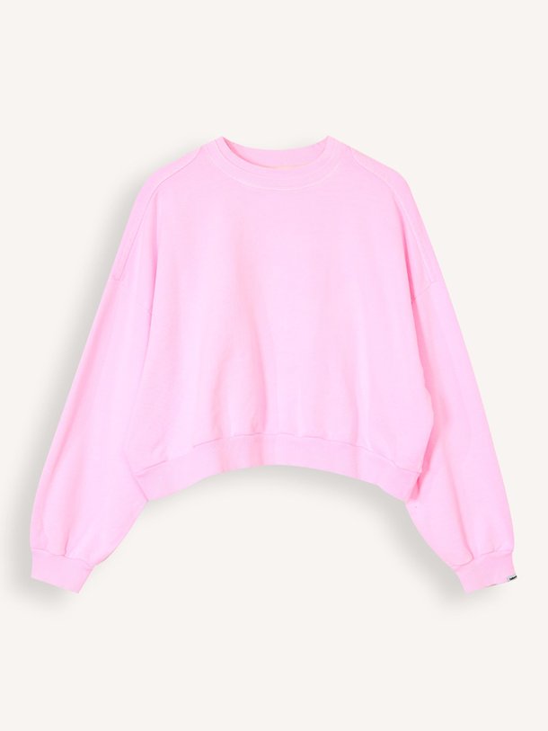 Ontdek de Ferna katoenen sweater van Bellerose in de kleur Roze bij Orangebag. Op werkdagen voor 21:45 besteld, morgen in huis.