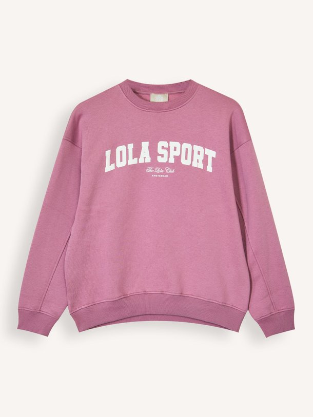 Ontdek de Jayla katoenmix sweater van The Lola Club in de kleur Mauve bij Orangebag. Op werkdagen voor 21:45 besteld, morgen in huis.