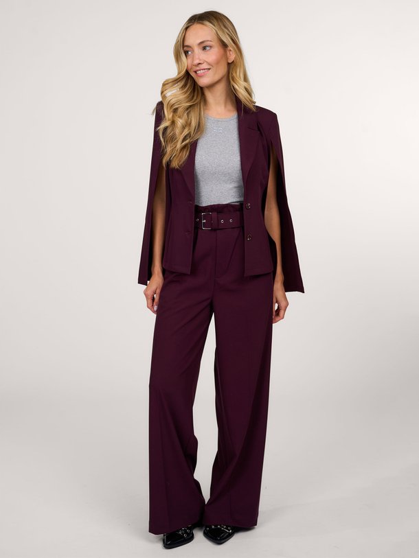 Ontdek de Scrupulous viscosemix pantalon van Chptr-s in de kleur bordeauxrood bij Orangebag. Op werkdagen voor 21:45 besteld, morgen in huis.