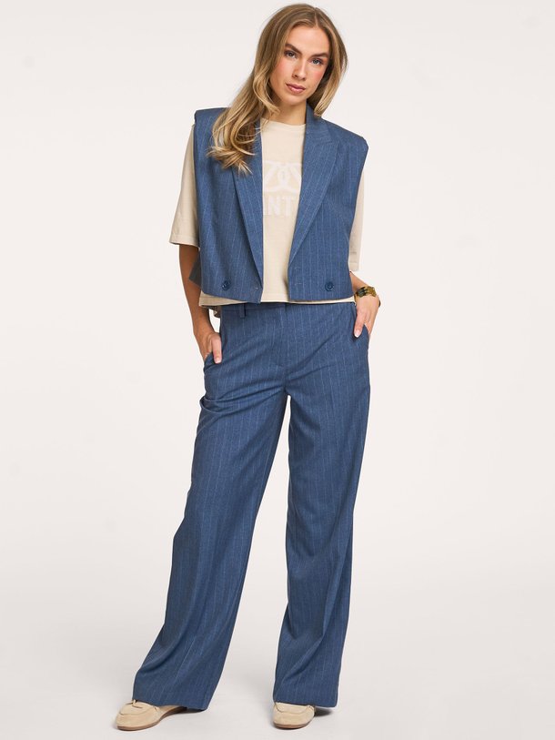 Ontdek de Jarod viscosemix krijtstreep gilet van Dante 6 in de kleur Blauw bij Orangebag. Op werkdagen voor 21:45 besteld, morgen in huis.