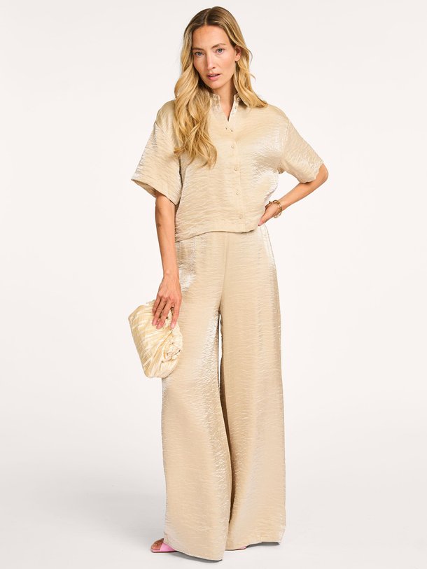 Ontdek de Panthea viscosemix glanzende broek van Freebird in de kleur beige bij Orangebag. Op werkdagen voor 21:45 besteld, morgen in huis.