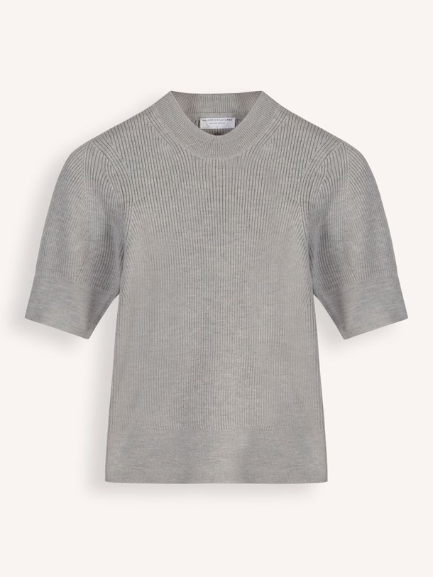 Ontdek de K207 Merino wollen rib top van Majestic Filatures in de kleur lichtgrijs bij Orangebag. Op werkdagen voor 21:45 besteld, morgen in huis.