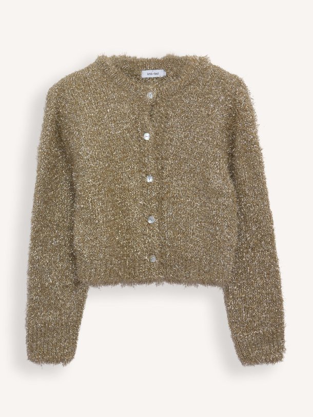 Ontdek de Lynn gebreid vest met lurex van Knit-ted in de kleur goudkleur bij Orangebag. Op werkdagen voor 21:45 besteld, morgen in huis.