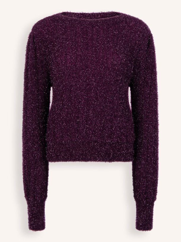 Ontdek de Femme gebreide trui met lurex van Aaiko in de kleur paars bij Orangebag. Op werkdagen voor 21:45 besteld, morgen in huis.
