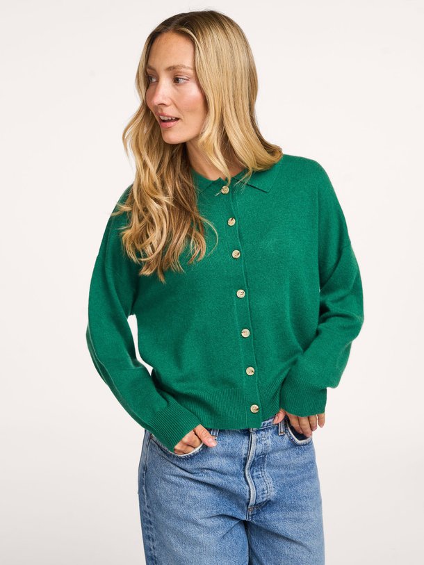 Ontdek de Majura cashmere vest van Absolut Cashmere in de kleur groen bij Orangebag. Op werkdagen voor 21:45 besteld, morgen in huis.