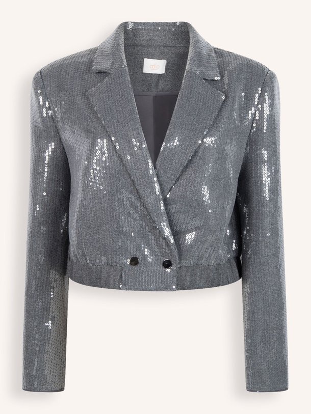 Ontdek de Mille geweven cropped blazer met pailletten van Aaiko in de kleur grijs bij Orangebag. Op werkdagen voor 21:45 besteld, morgen in huis.
