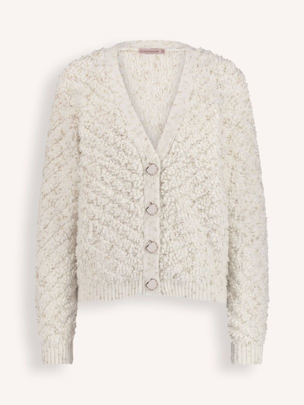 Ontdek de Iris gebreid vest met lurex van Studio Anneloes in de kleur crème bij Orangebag. Op werkdagen voor 21:45 besteld, morgen in huis.