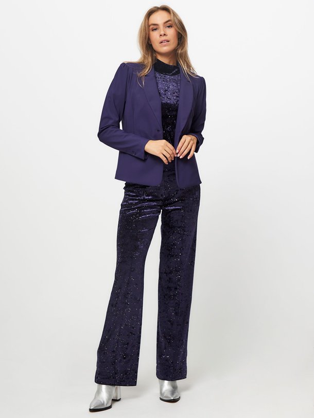 Ontdek de Fey geweven velourse wide leg broek met lurex van Studio Anneloes in de kleur paars bij Orangebag. Op werkdagen voor 21:45 besteld, morgen in huis.