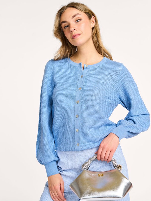 Ontdek de Tommy viscosemix vest met lurex van Studio Anneloes in de kleur blauw bij Orangebag. Op werkdagen voor 21:45 besteld, morgen in huis.