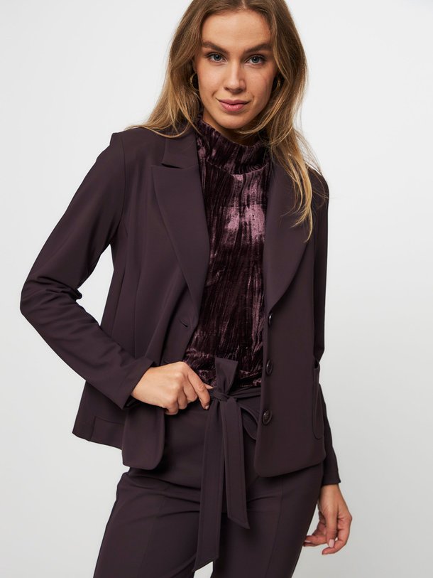 Ontdek de Suzy bonded travel jersey blazer van Studio Anneloes in de kleur aubergine bij Orangebag. Op werkdagen voor 21:45 besteld, morgen in huis.